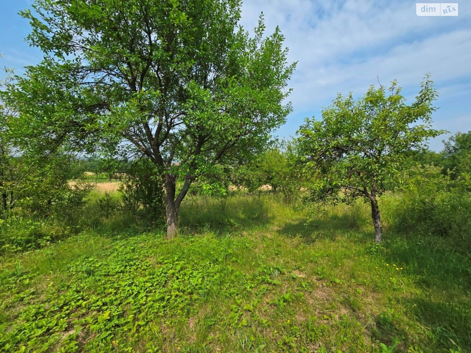 одноповерховий будинок, 45 кв. м, цегла саманна. Продаж у Середньому фото 1 одноповерховий будинок, 45 кв. м, цегла саманна. Продаж у Середньому фото 1
