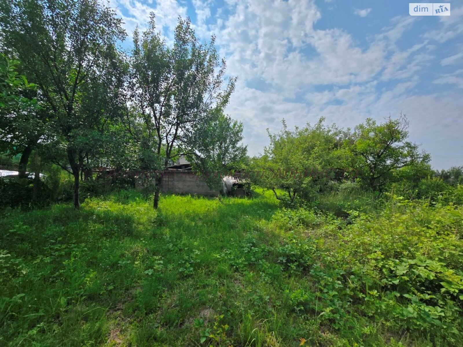 одноповерховий будинок, 45 кв. м, цегла саманна. Продаж у Середньому фото 1 одноповерховий будинок, 45 кв. м, цегла саманна. Продаж у Середньому фото 1