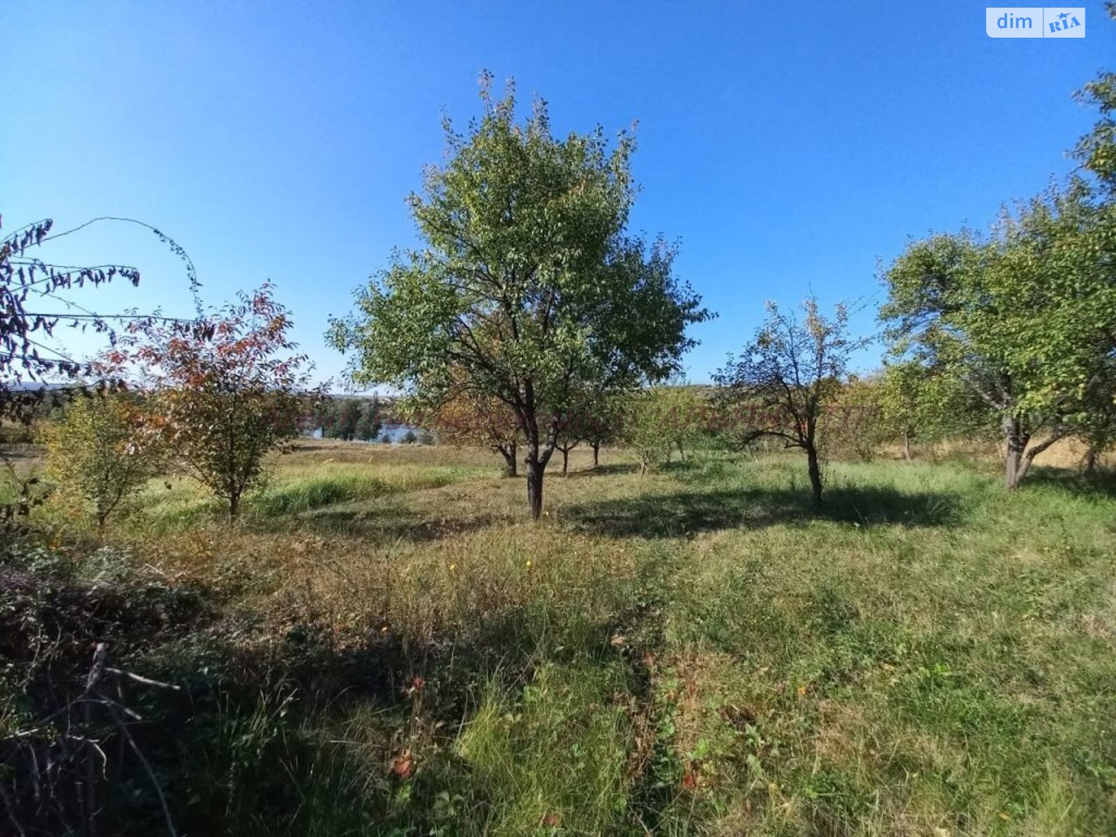 одноповерховий будинок, 45 кв. м, цегла саманна. Продаж у Середньому фото 1 одноповерховий будинок, 45 кв. м, цегла саманна. Продаж у Середньому фото 1