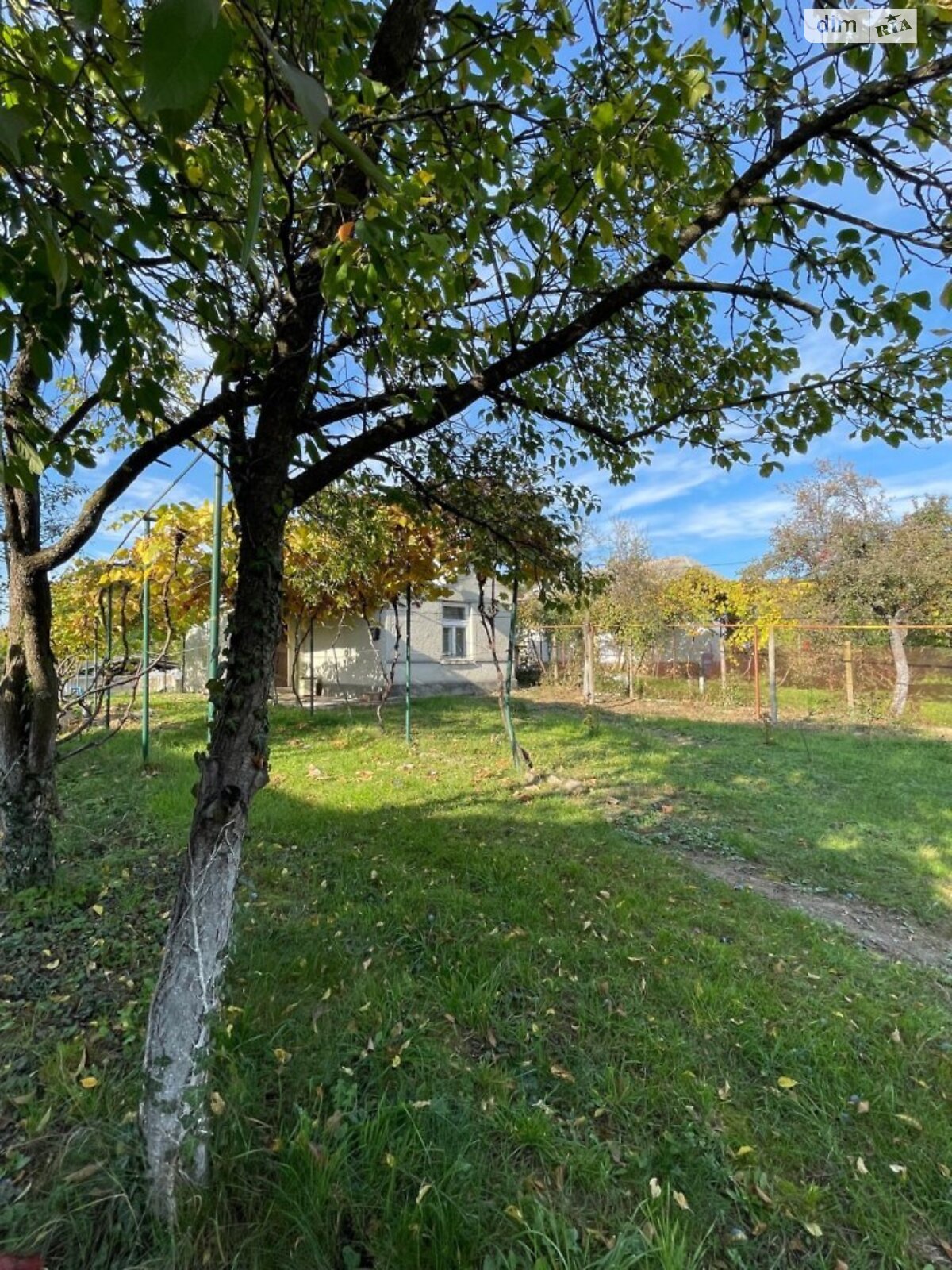 одноповерховий будинок, 45 кв. м, цегла саманна. Продаж у Середньому фото 1 одноповерховий будинок, 45 кв. м, цегла саманна. Продаж у Середньому фото 1