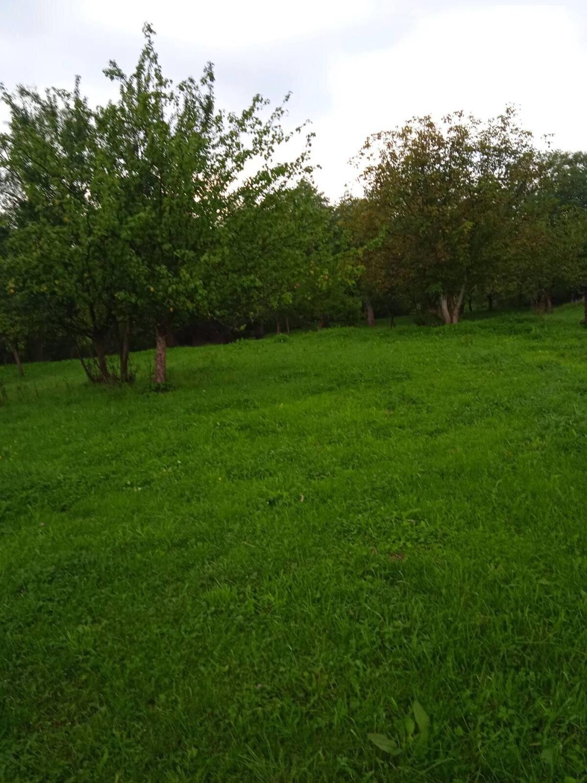 одноповерховий будинок з верандою, 57.3 кв. м, брус. Продаж у Середньому Березові фото 1 одноповерховий будинок з верандою, 57.3 кв. м, брус. Продаж у Середньому Березові фото 1