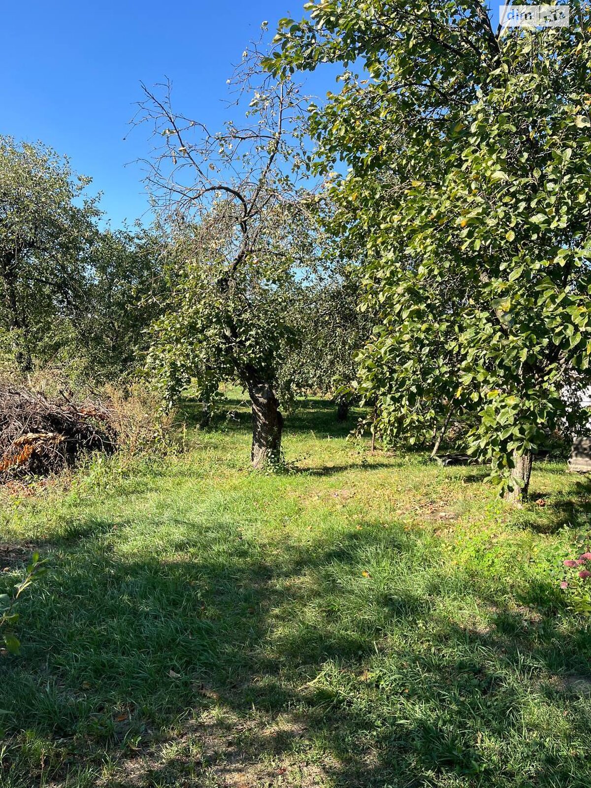 одноповерховий будинок з верандою, 101.2 кв. м, цегла. Продаж у Станишівці фото 1 одноповерховий будинок з верандою, 101.2 кв. м, цегла. Продаж у Станишівці фото 1