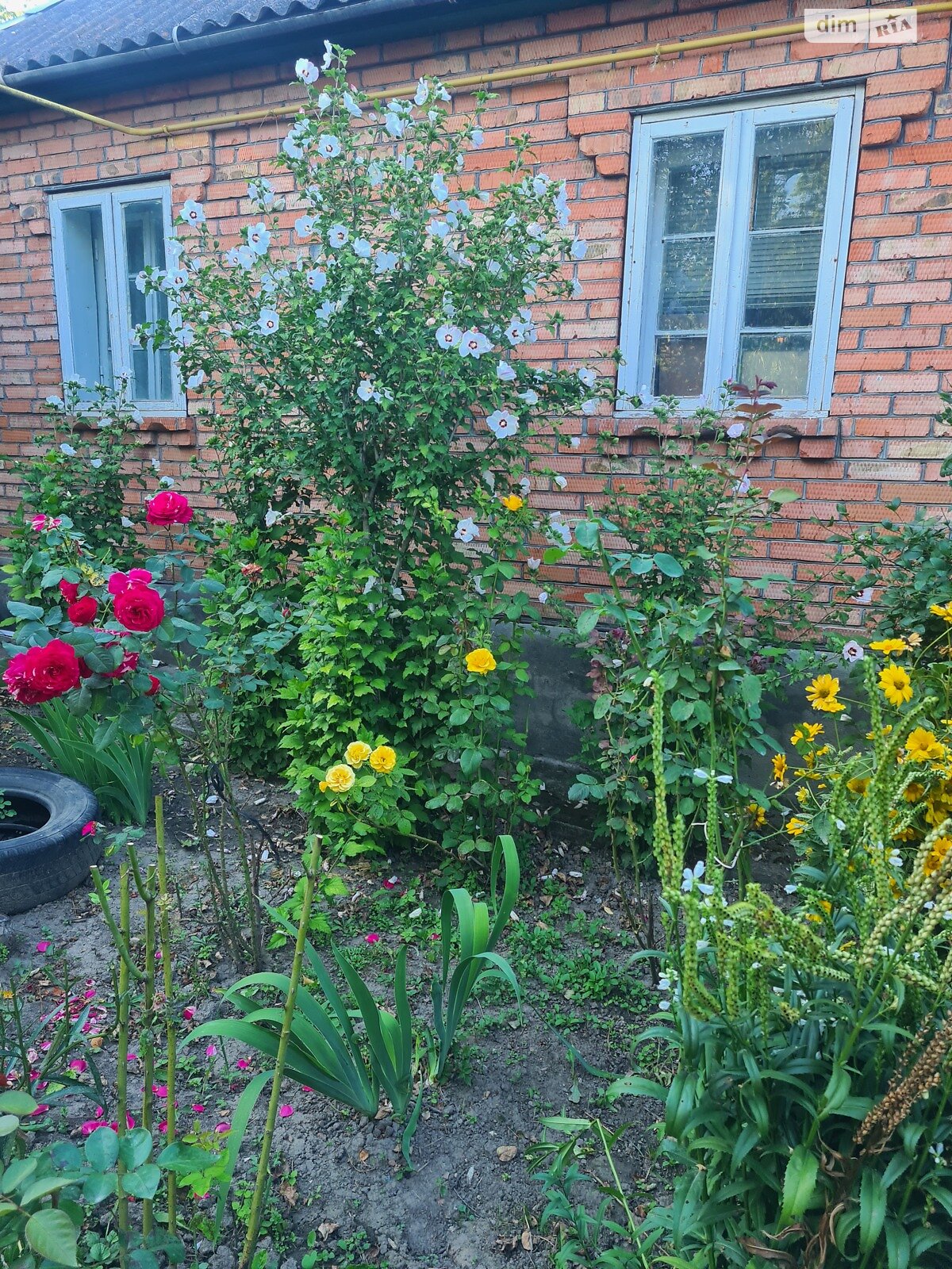 одноповерховий будинок з верандою, 55 кв. м, цегла. Продаж у Станіславчику фото 1