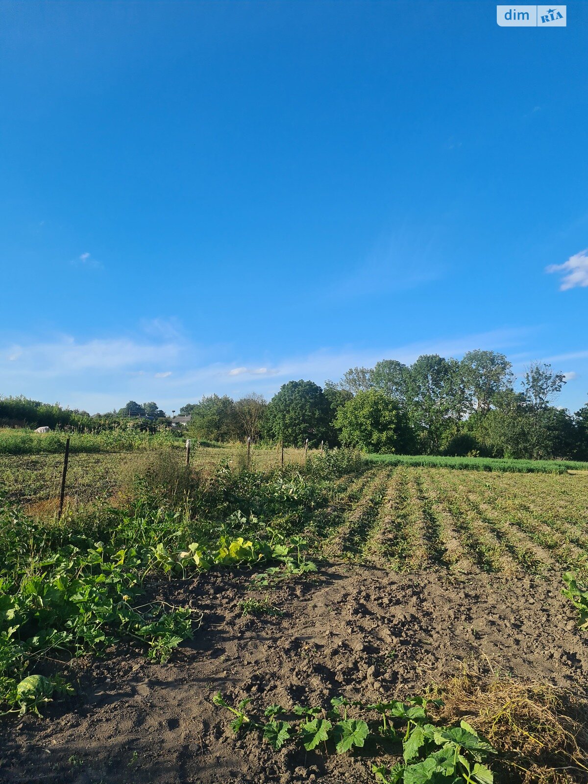 одноповерховий будинок з верандою, 55 кв. м, цегла. Продаж у Станіславчику фото 1