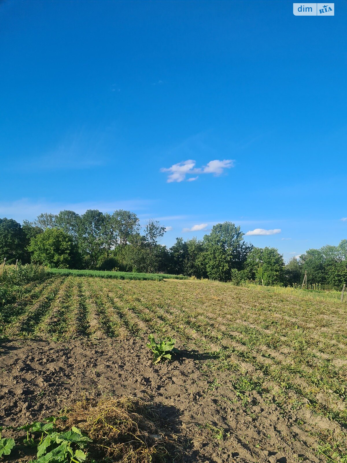 одноповерховий будинок з верандою, 55 кв. м, цегла. Продаж у Станіславчику фото 1