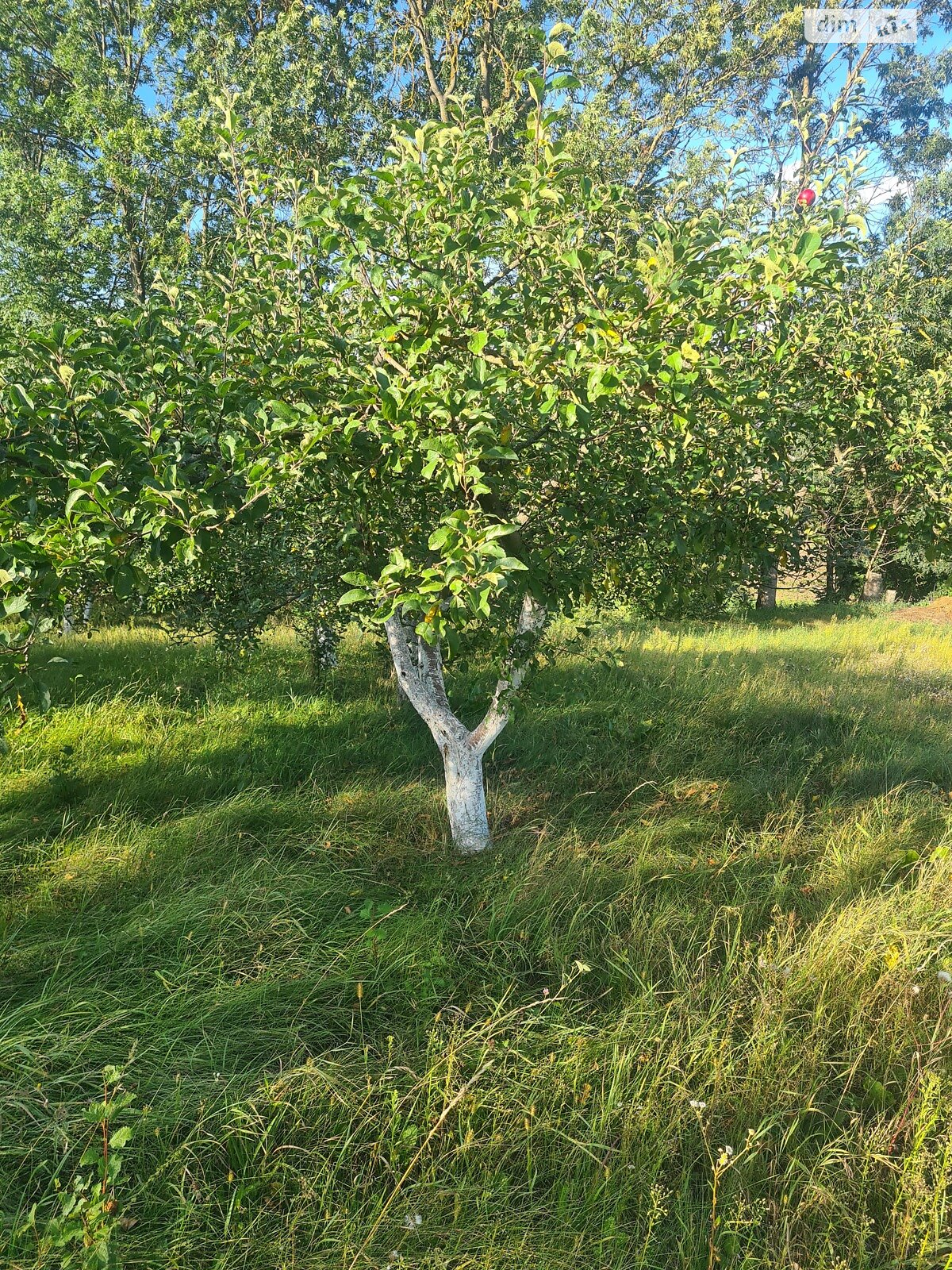 одноповерховий будинок з верандою, 55 кв. м, цегла. Продаж у Станіславчику фото 1