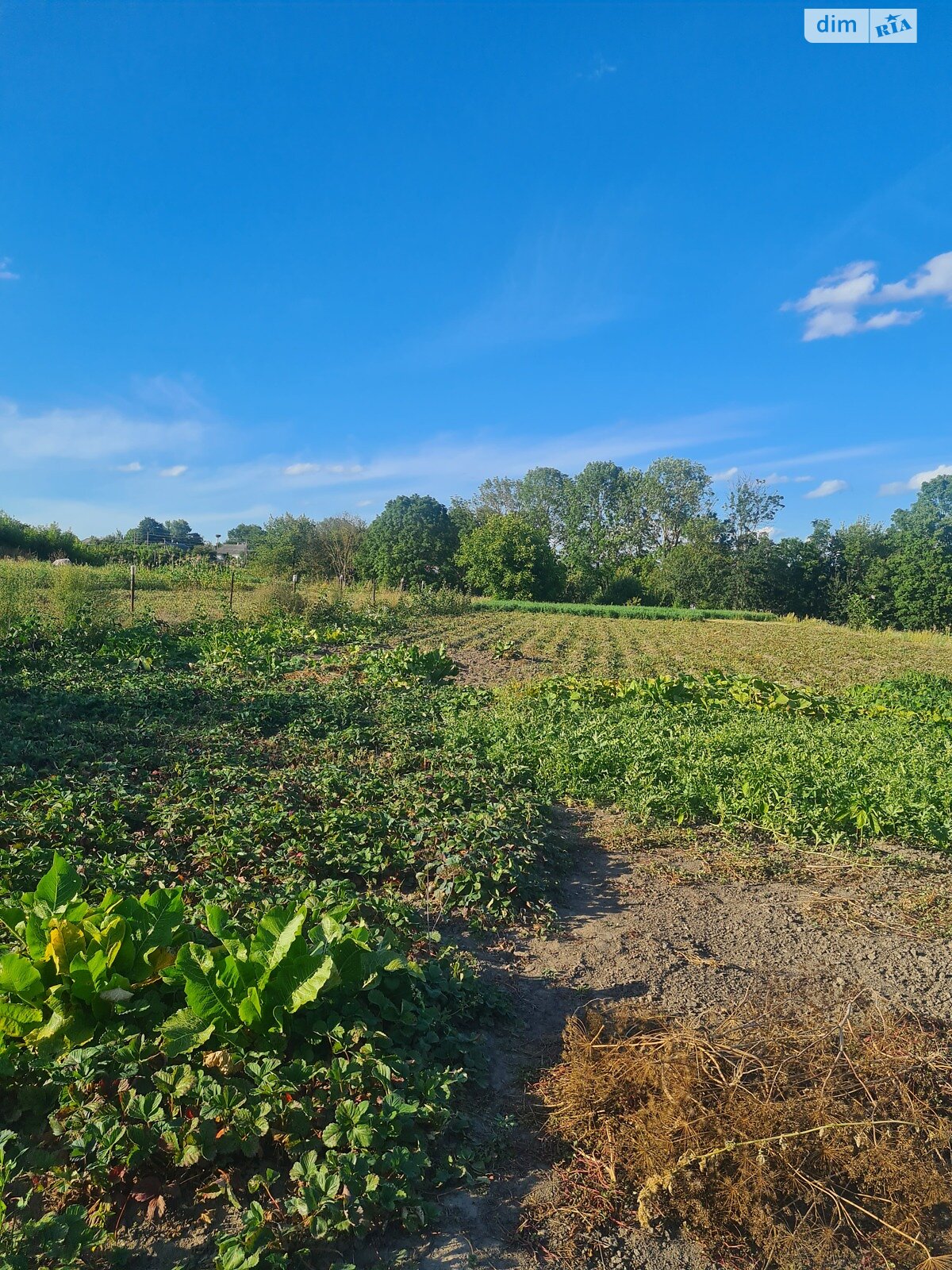 одноповерховий будинок з верандою, 55 кв. м, цегла. Продаж у Станіславчику фото 1