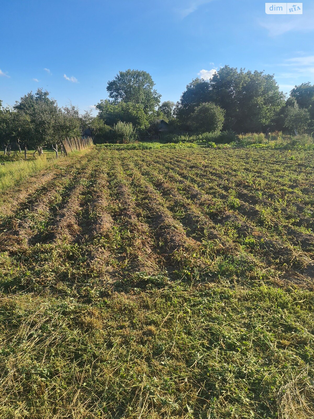 одноповерховий будинок з верандою, 55 кв. м, цегла. Продаж у Станіславчику фото 1