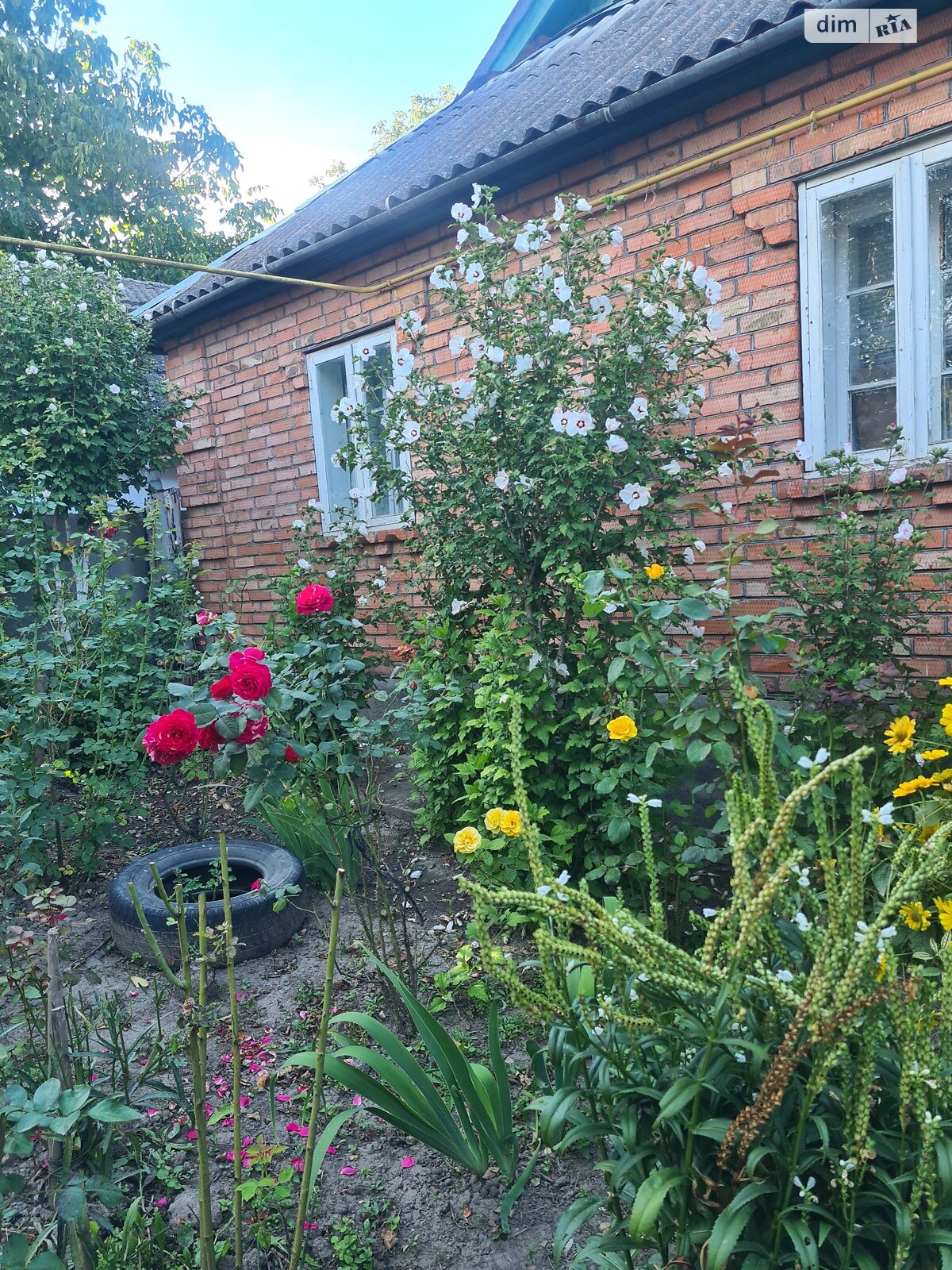 одноповерховий будинок з верандою, 55 кв. м, цегла. Продаж у Станіславчику фото 1