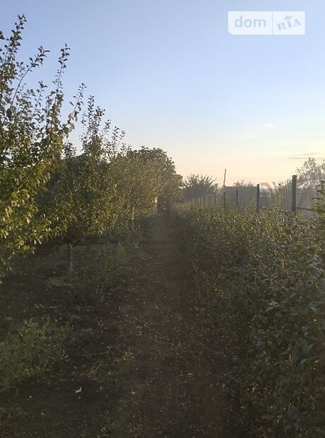 одноэтажный дом с террасой, 324 кв. м, керамический блок. Продажа в Старобешеве район Старобешево фото 1 одноэтажный дом с террасой, 324 кв. м, керамический блок. Продажа в Старобешеве район Старобешево фото 1