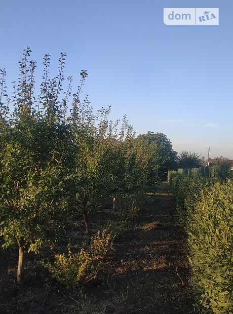 одноэтажный дом с террасой, 324 кв. м, керамический блок. Продажа в Старобешеве район Старобешево фото 1 одноэтажный дом с террасой, 324 кв. м, керамический блок. Продажа в Старобешеве район Старобешево фото 1