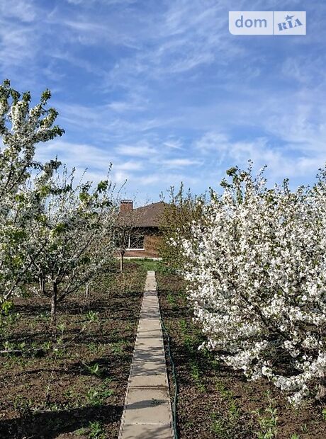 одноэтажный дом с террасой, 324 кв. м, керамический блок. Продажа в Старобешеве район Старобешево фото 1 одноэтажный дом с террасой, 324 кв. м, керамический блок. Продажа в Старобешеве район Старобешево фото 1