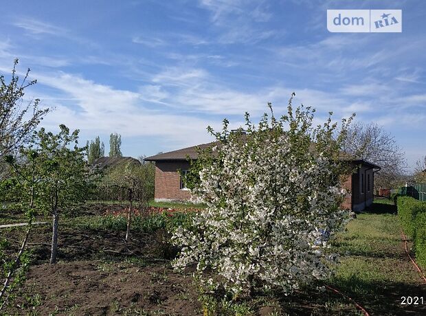 одноэтажный дом с террасой, 324 кв. м, керамический блок. Продажа в Старобешеве район Старобешево фото 1 одноэтажный дом с террасой, 324 кв. м, керамический блок. Продажа в Старобешеве район Старобешево фото 1