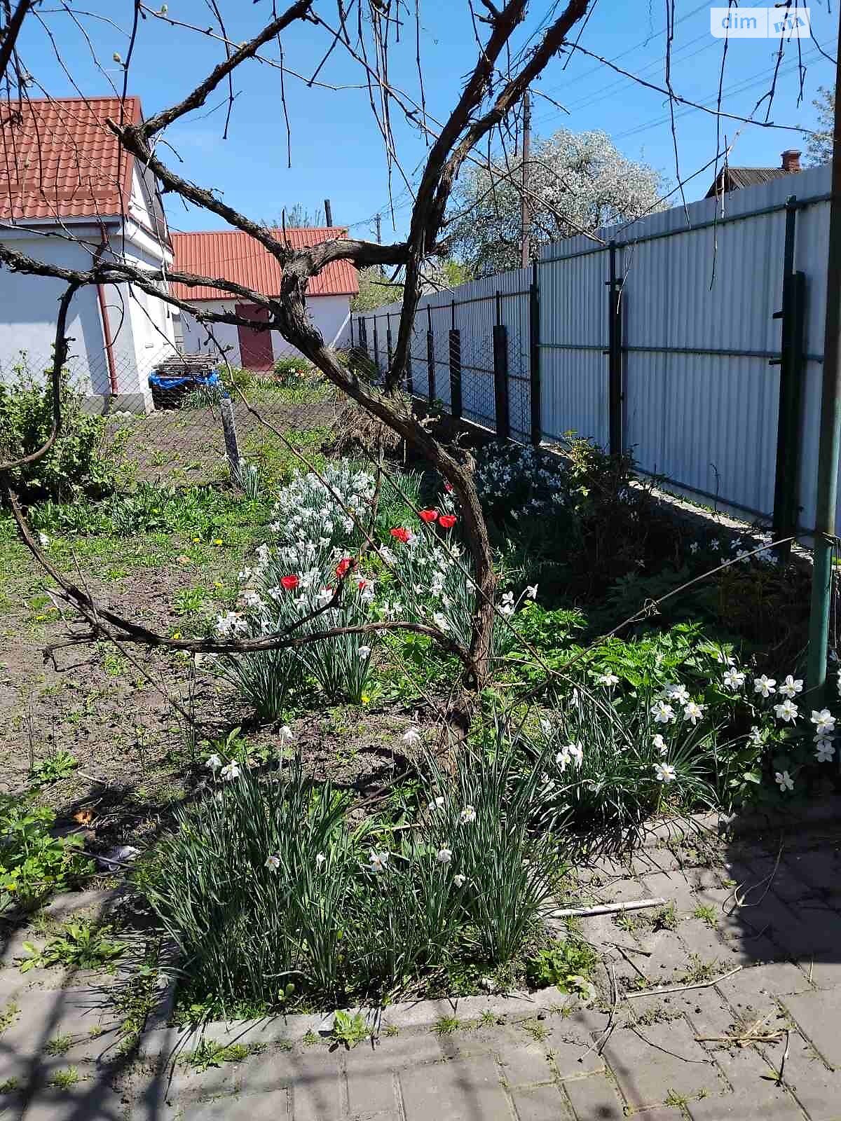 одноэтажный дом с гаражом, 118 кв. м, кирпич. Продажа в Староконстантинове фото 1 одноэтажный дом с гаражом, 118 кв. м, кирпич. Продажа в Староконстантинове фото 1
