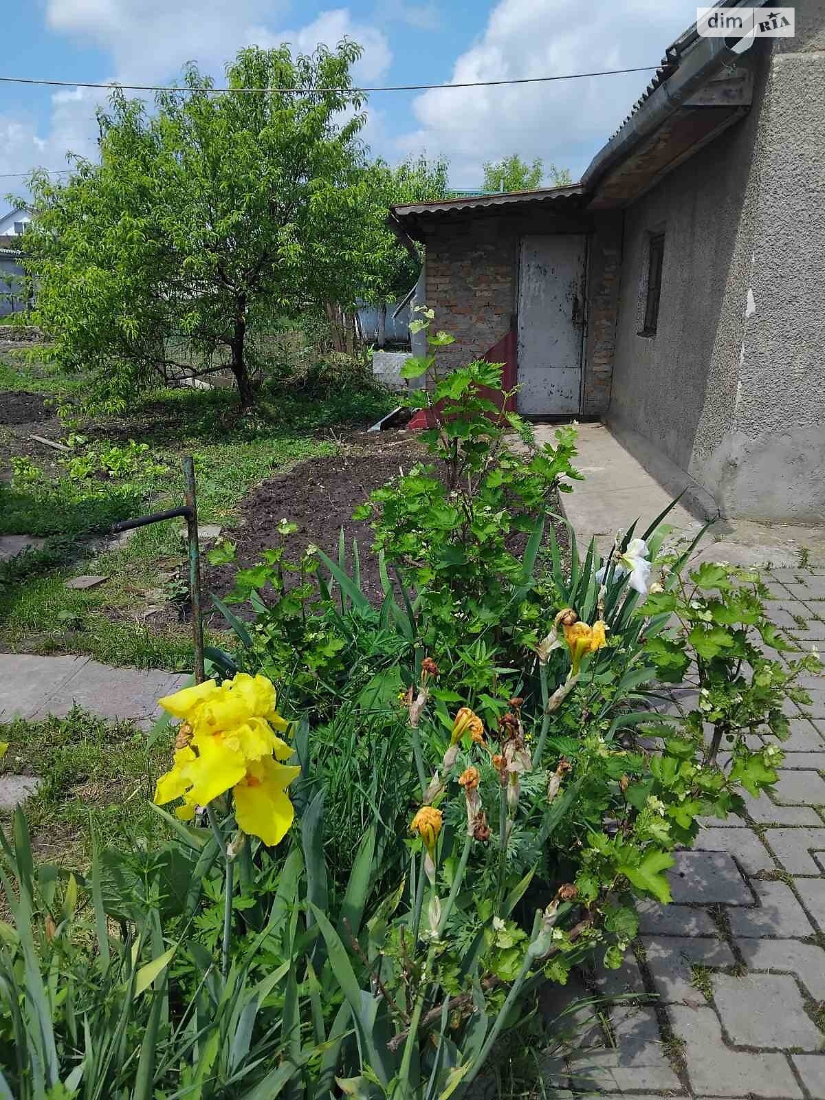 одноповерховий будинок з опаленням, 118 кв. м, кирпич. Продаж в Старокостянтинові, район Старокостянтинів фото 1 одноповерховий будинок з опаленням, 118 кв. м, кирпич. Продаж в Старокостянтинові, район Старокостянтинів фото 1