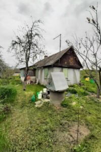 одноповерховий будинок, 50 кв. м, кирпич. Продаж у Старосільцях фото 2