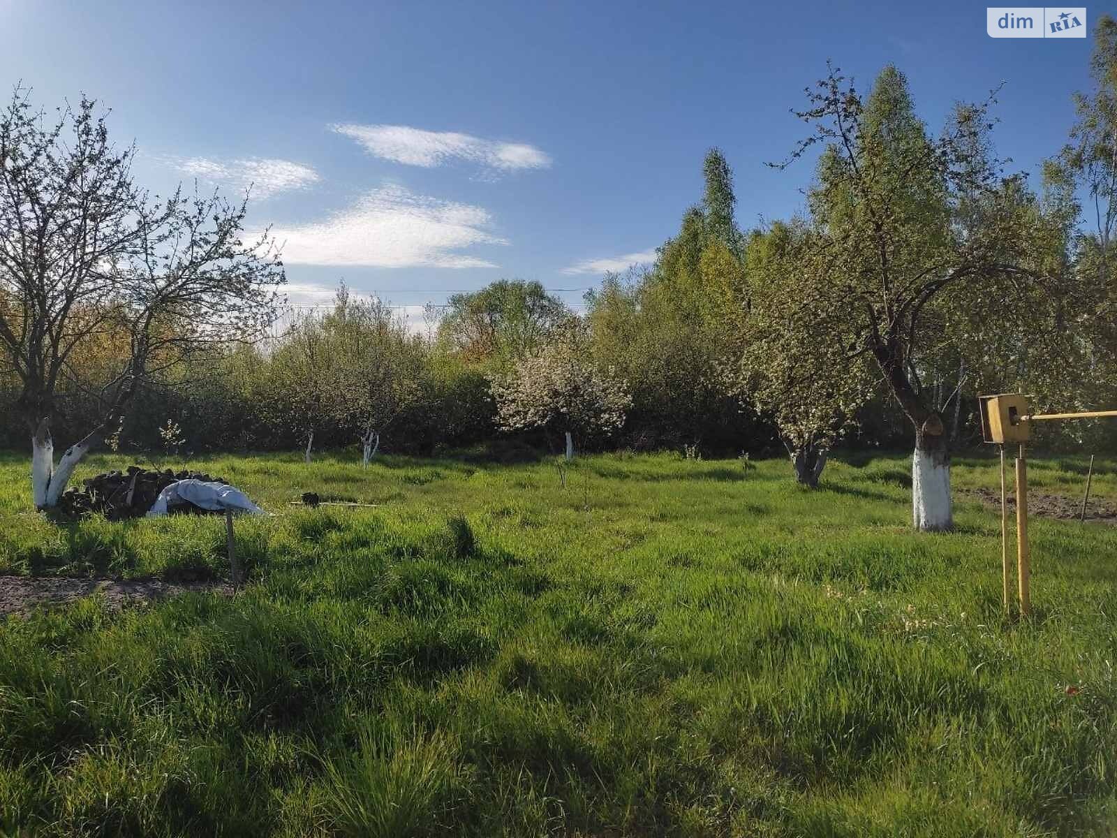 одноповерховий будинок з верандою, 40 кв. м, дерево та цегла. Продаж у Старошейці фото 1 одноповерховий будинок з верандою, 40 кв. м, дерево та цегла. Продаж у Старошейці фото 1