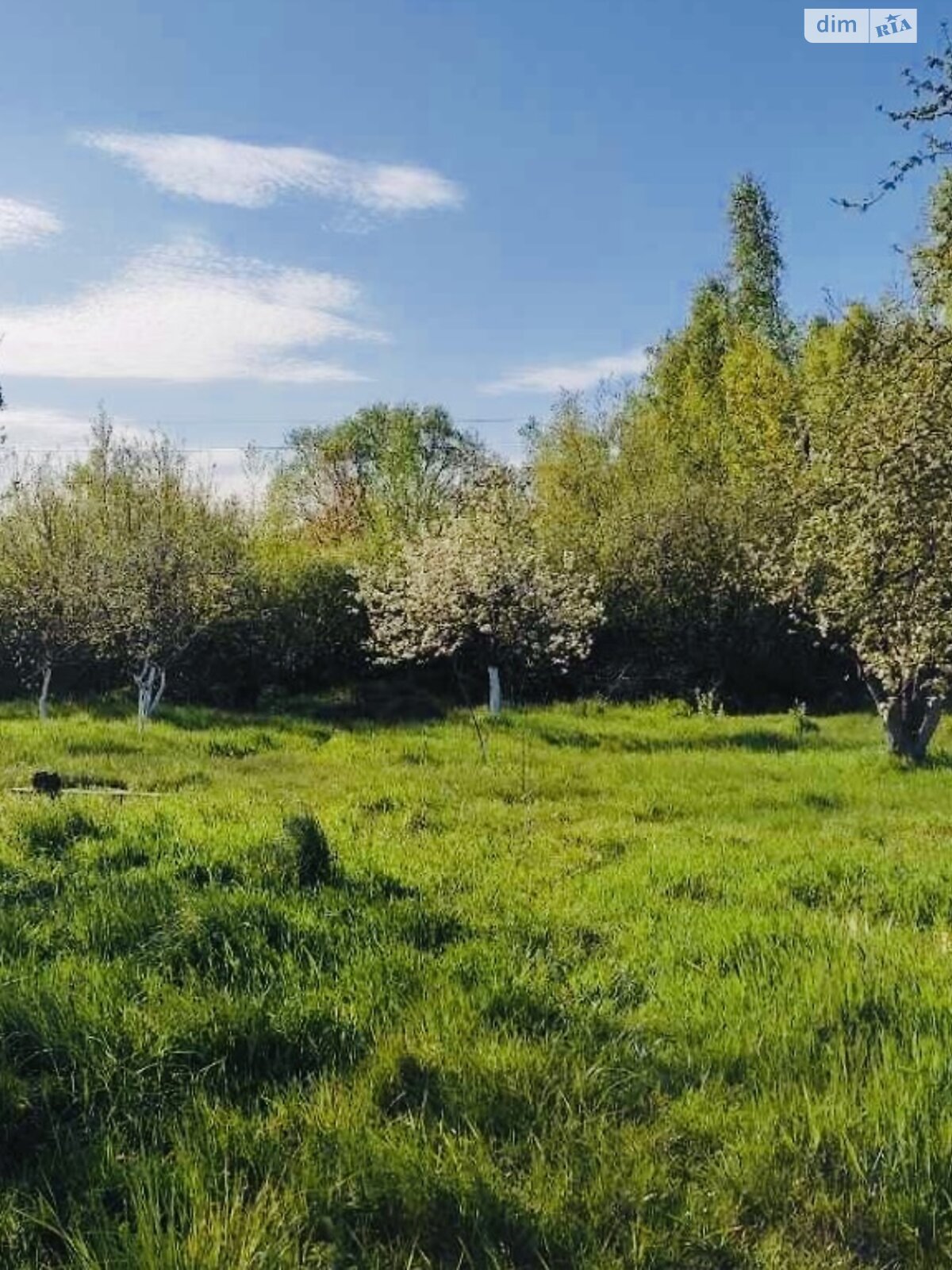 одноповерховий будинок з верандою, 39.4 кв. м, дерево та цегла. Продаж у Старошейці фото 1 одноповерховий будинок з верандою, 39.4 кв. м, дерево та цегла. Продаж у Старошейці фото 1