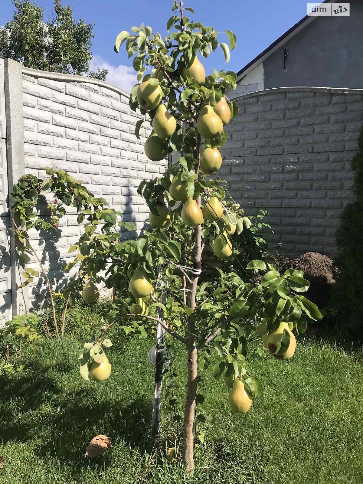одноповерховий будинок, 87.7 кв. м, піноблок. Продаж у Старих Кодаках фото 1 одноповерховий будинок, 87.7 кв. м, піноблок. Продаж у Старих Кодаках фото 1