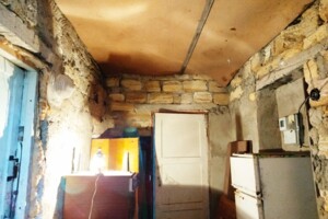 одноповерховий будинок з гаражем, 47.5 кв. м, ракушечник (ракушняк). Продаж у Старих Шомполах фото 2