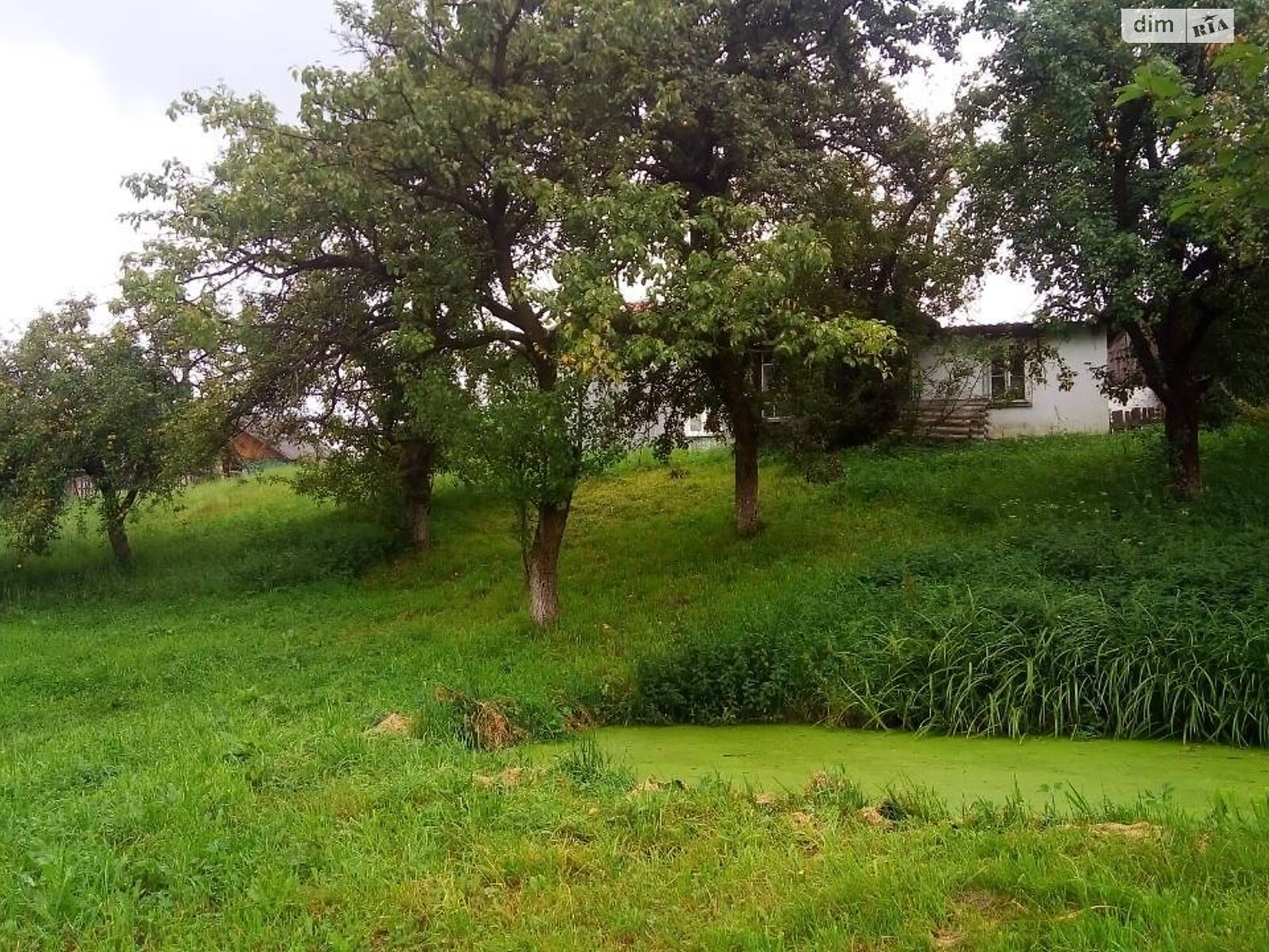 одноэтажный дом с гаражом, 82 кв. м, сруб. Продажа в Старом Мизуне фото 1 одноэтажный дом с гаражом, 82 кв. м, сруб. Продажа в Старом Мизуне фото 1