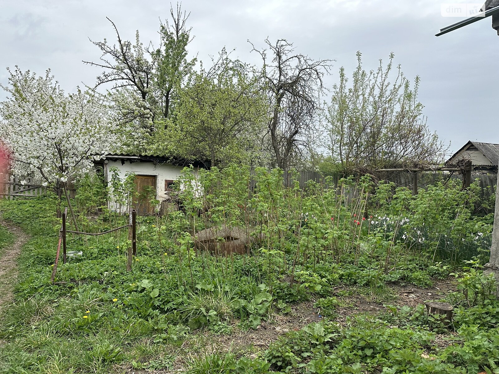 одноэтажный дом, 60 кв. м, кирпич. Продажа в Старом Острополе фото 1 одноэтажный дом, 60 кв. м, кирпич. Продажа в Старом Острополе фото 1