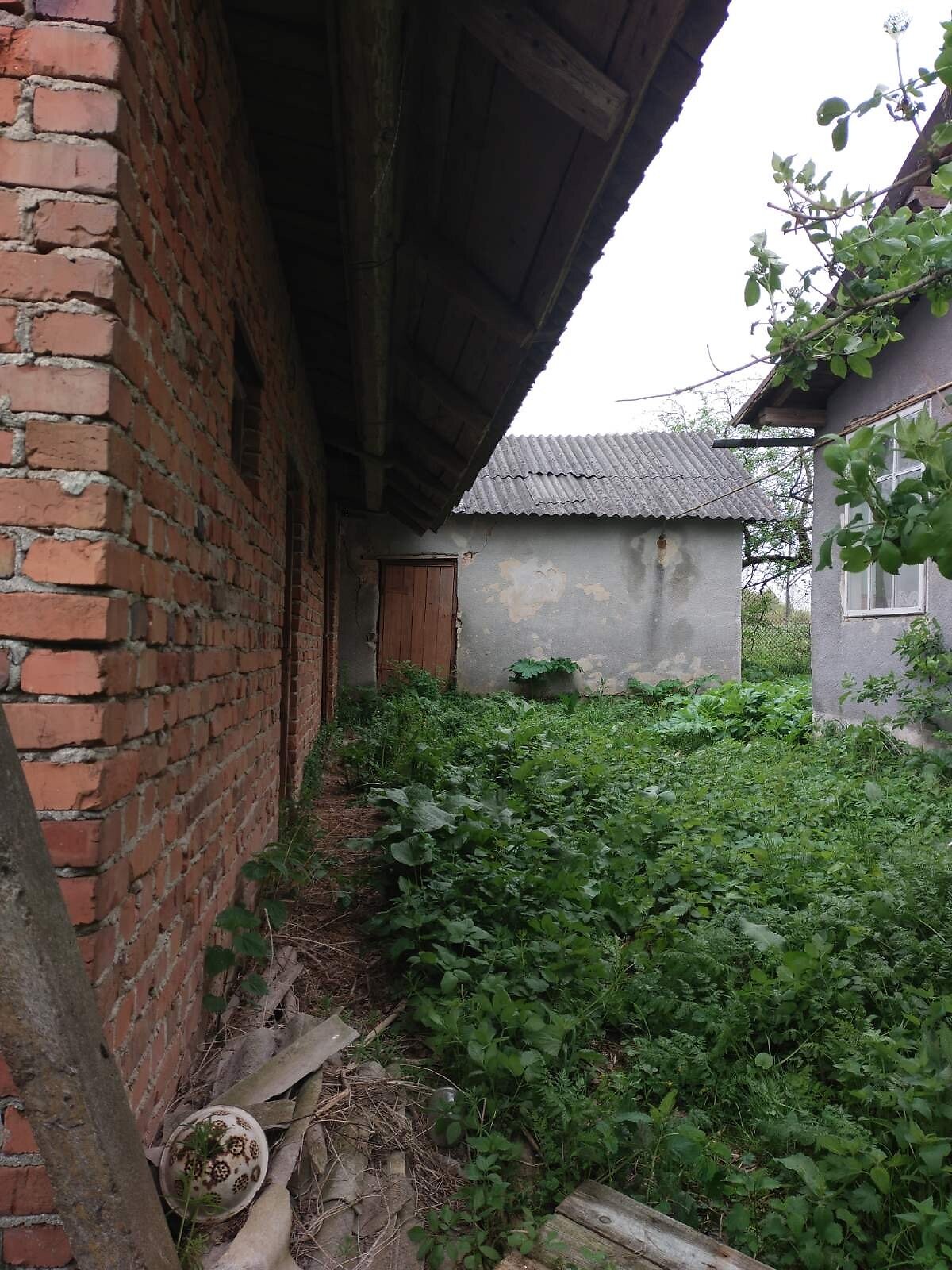 одноповерховий будинок з гаражем, 120 кв. м, цегла. Продаж в Старому Самборі, район Старий Самбір фото 1 одноповерховий будинок з гаражем, 120 кв. м, цегла. Продаж в Старому Самборі, район Старий Самбір фото 1