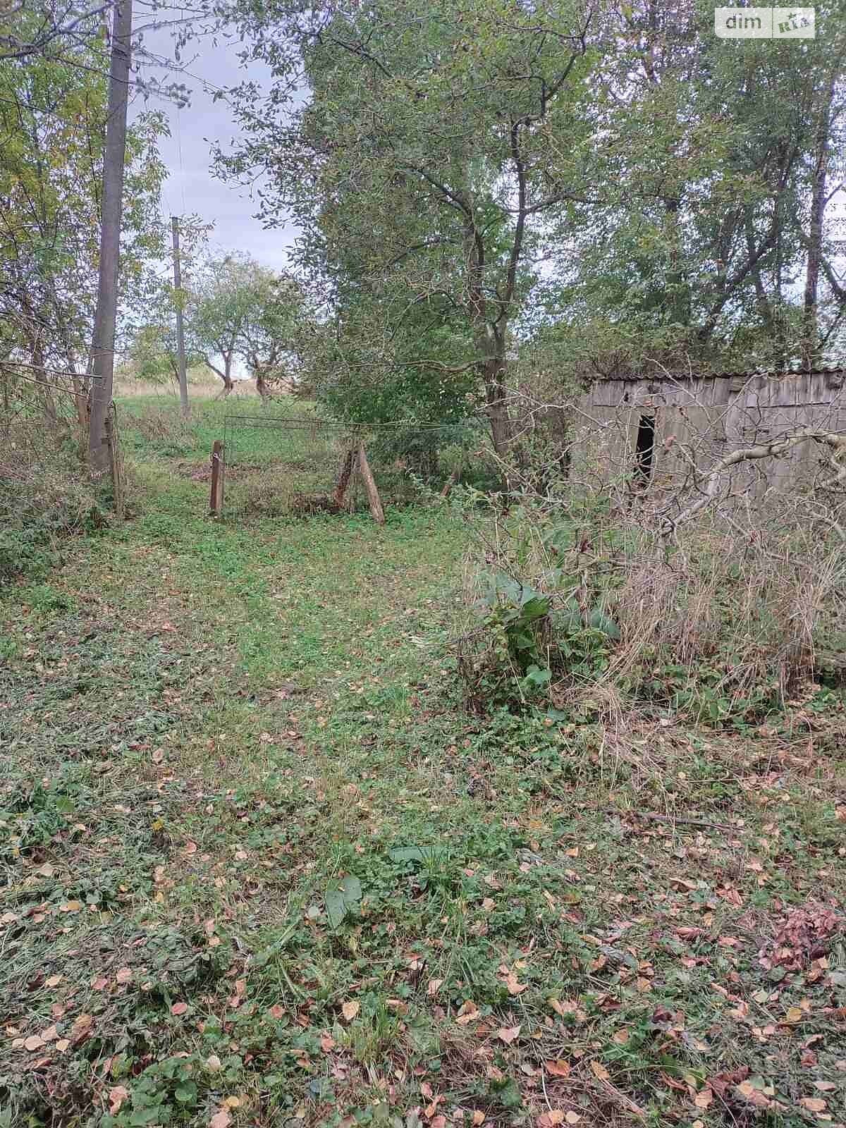 одноповерховий будинок з гаражем, 120 кв. м, цегла. Продаж в Старому Самборі, район Старий Самбір фото 1 одноповерховий будинок з гаражем, 120 кв. м, цегла. Продаж в Старому Самборі, район Старий Самбір фото 1