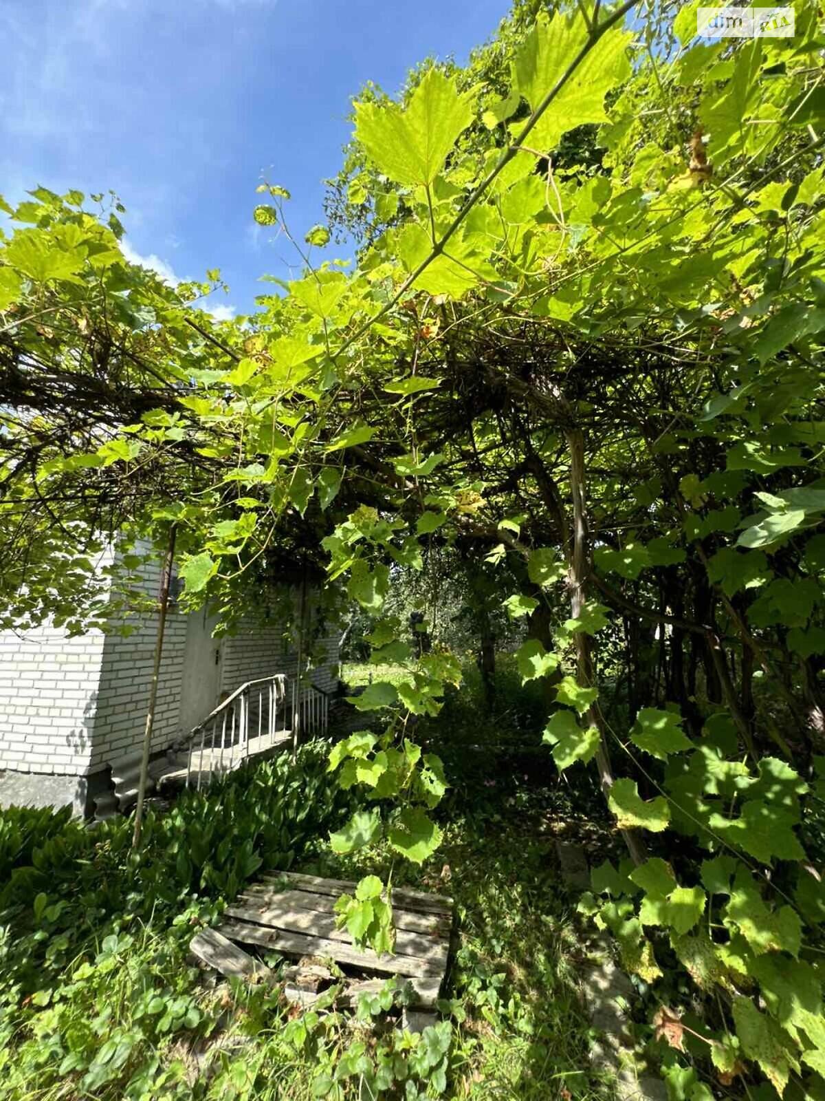 двоповерховий будинок, 37.6 кв. м, кирпич. Продаж у Дібрівки фото 3