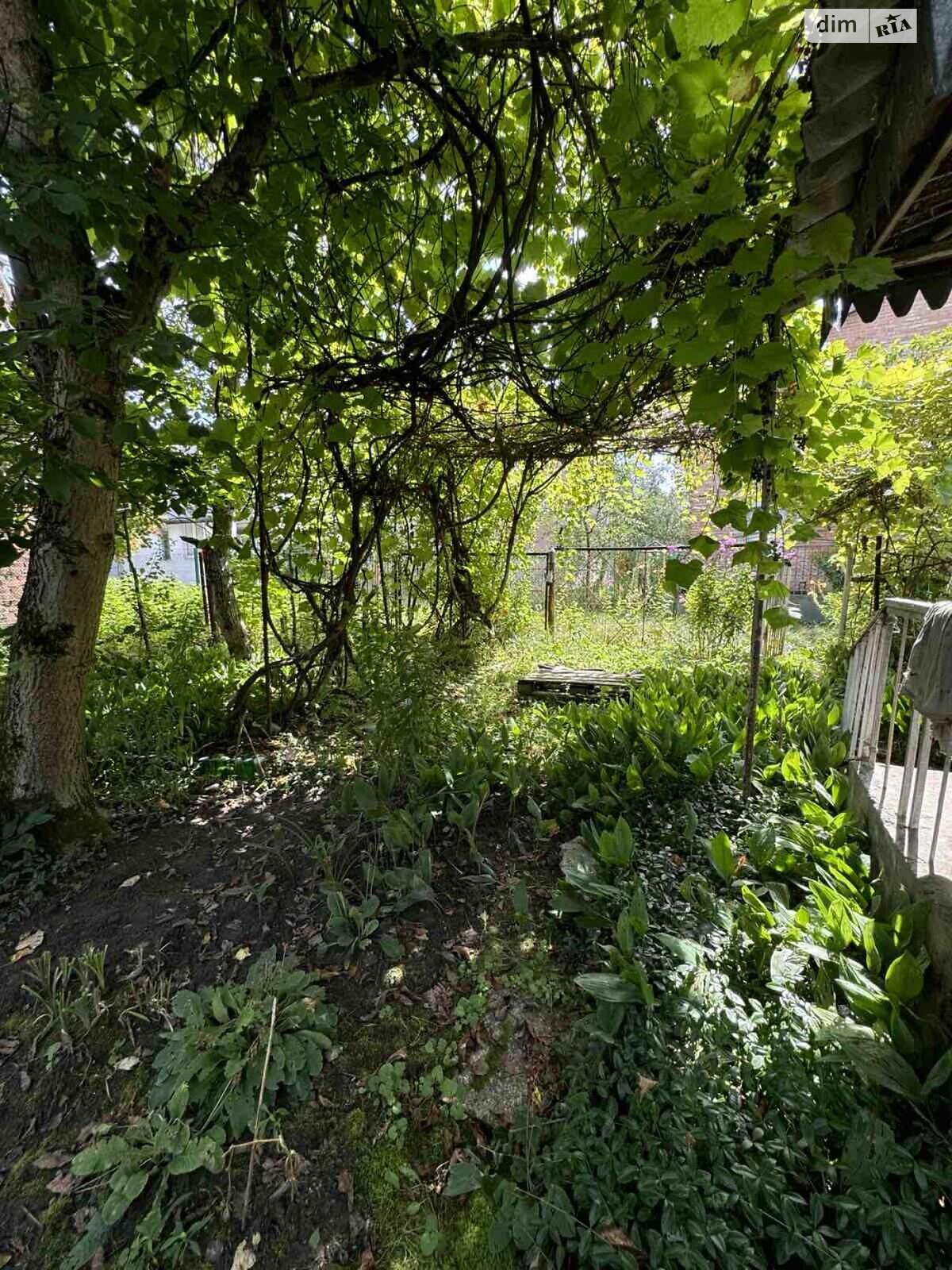 двоповерховий будинок, 37.6 кв. м, кирпич. Продаж у Дібрівки фото 3