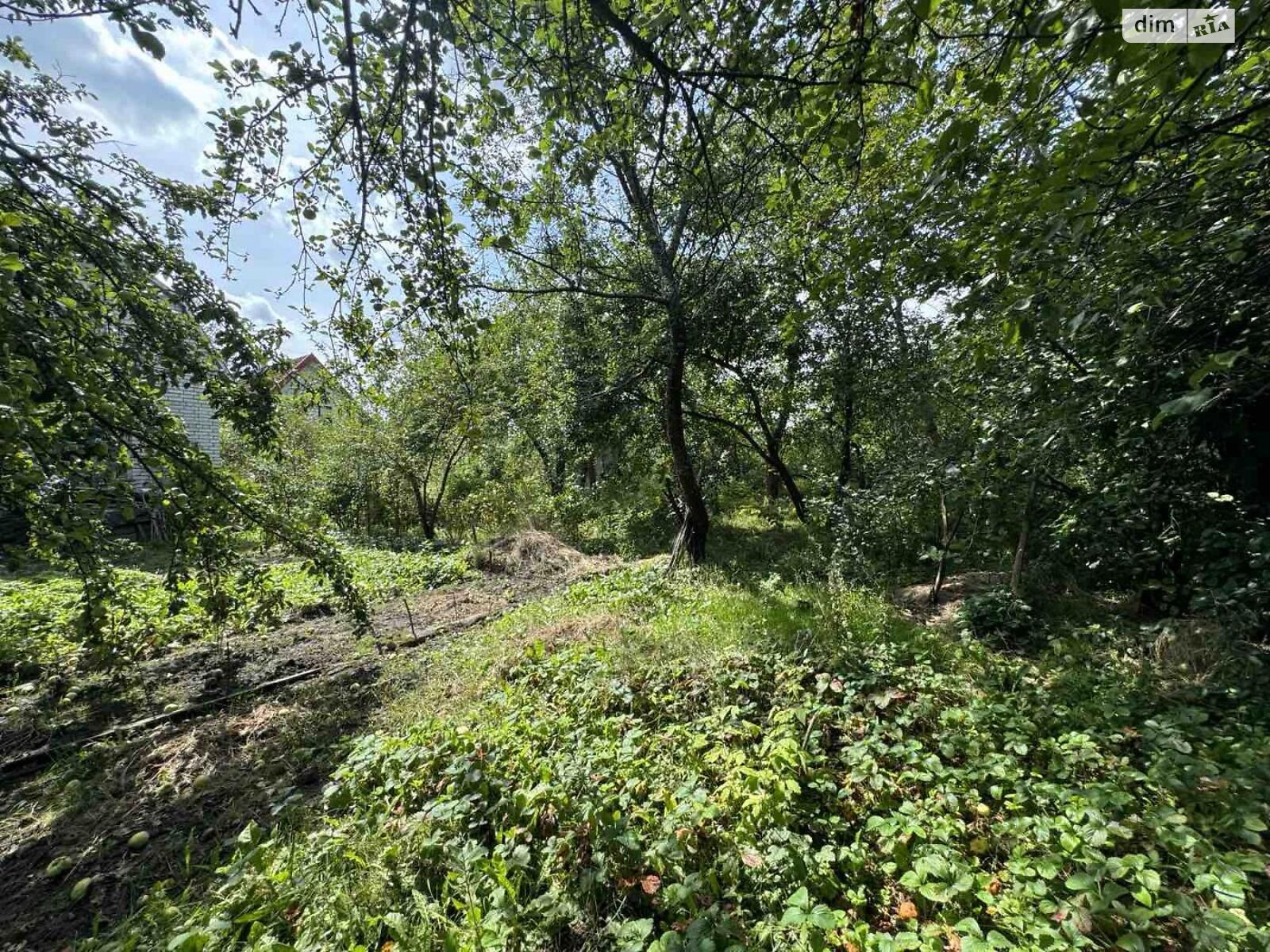 двоповерховий будинок, 37.6 кв. м, кирпич. Продаж у Дібрівки фото 3