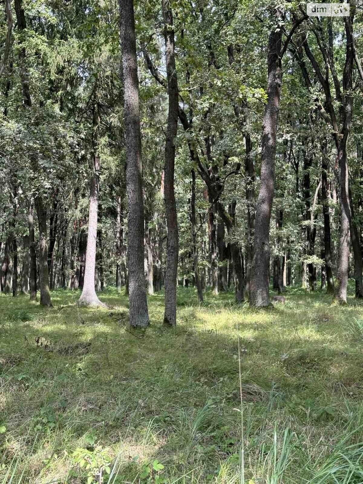 двоповерховий будинок, 37.6 кв. м, кирпич. Продаж у Дібрівки фото 3