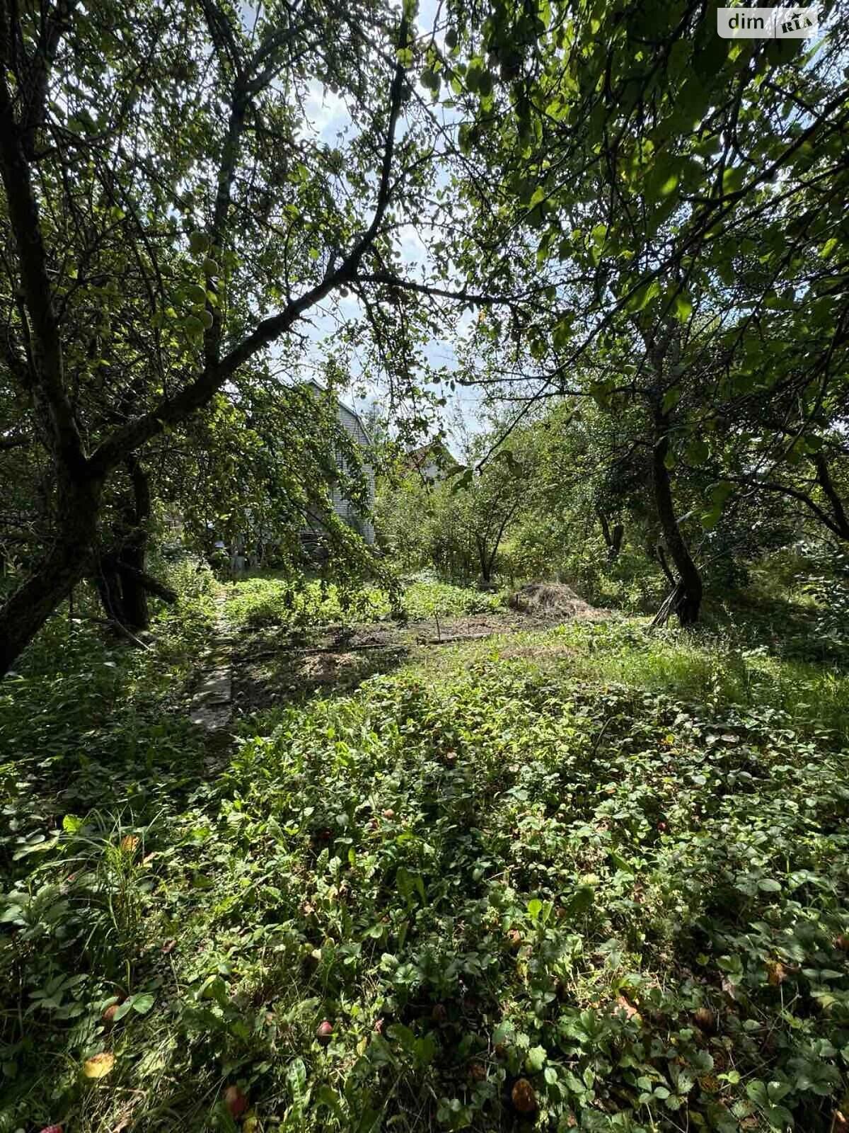 двоповерховий будинок, 37.6 кв. м, кирпич. Продаж у Дібрівки фото 3