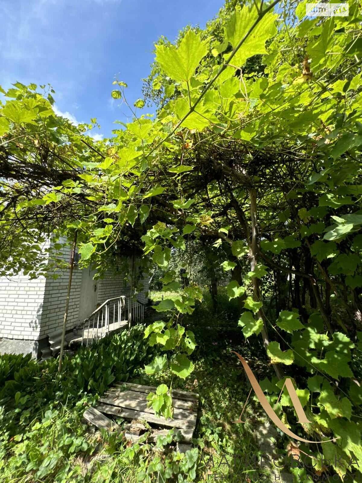 двоповерховий будинок, 37.6 кв. м, кирпич. Продаж у Дібрівки фото 3