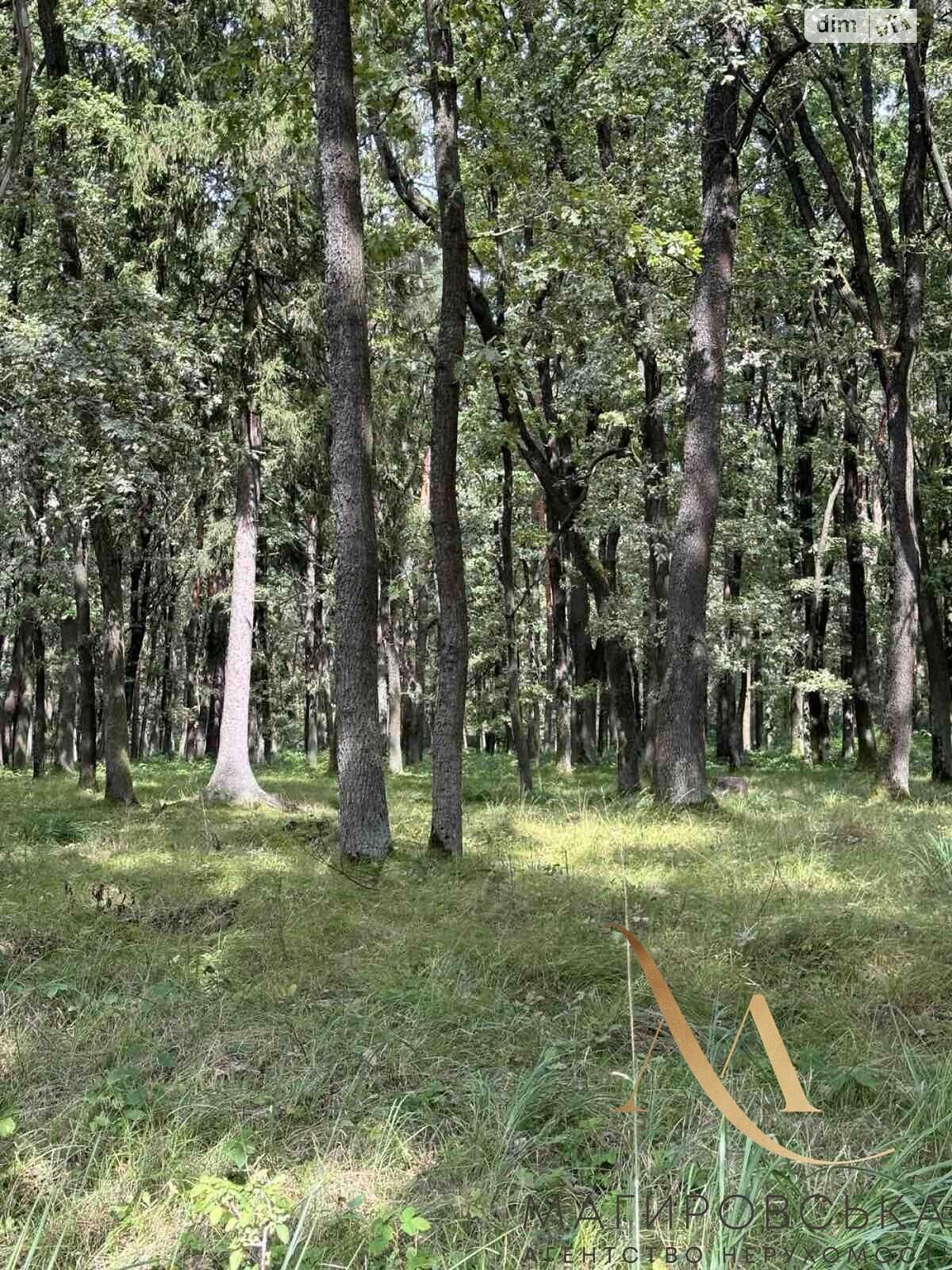 двоповерховий будинок, 37.6 кв. м, кирпич. Продаж у Дібрівки фото 3