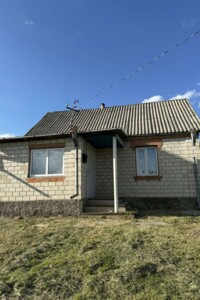одноповерховий будинок, 50 кв. м, цегла. Продаж у Ставищі фото 2