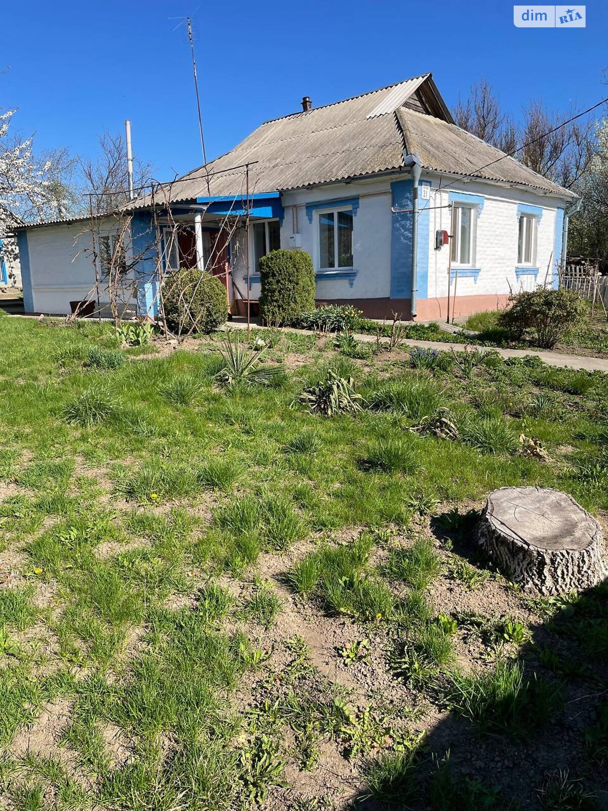 одноэтажный дом беседка, 58.2 кв. м, кирпич. Продажа в Ставище район Ставище фото 1 одноэтажный дом беседка, 58.2 кв. м, кирпич. Продажа в Ставище район Ставище фото 1