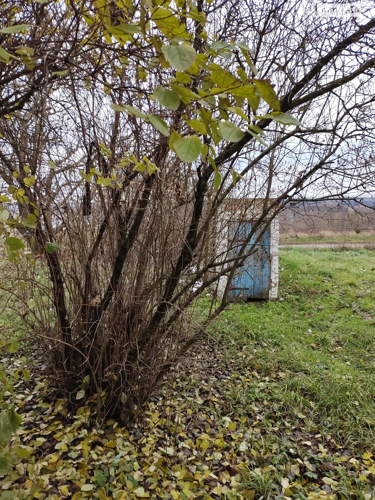 двухэтажный дом, 76 кв. м, дерево и кирпич. Продажа в Ставище район Ставище фото 1 двухэтажный дом, 76 кв. м, дерево и кирпич. Продажа в Ставище район Ставище фото 1