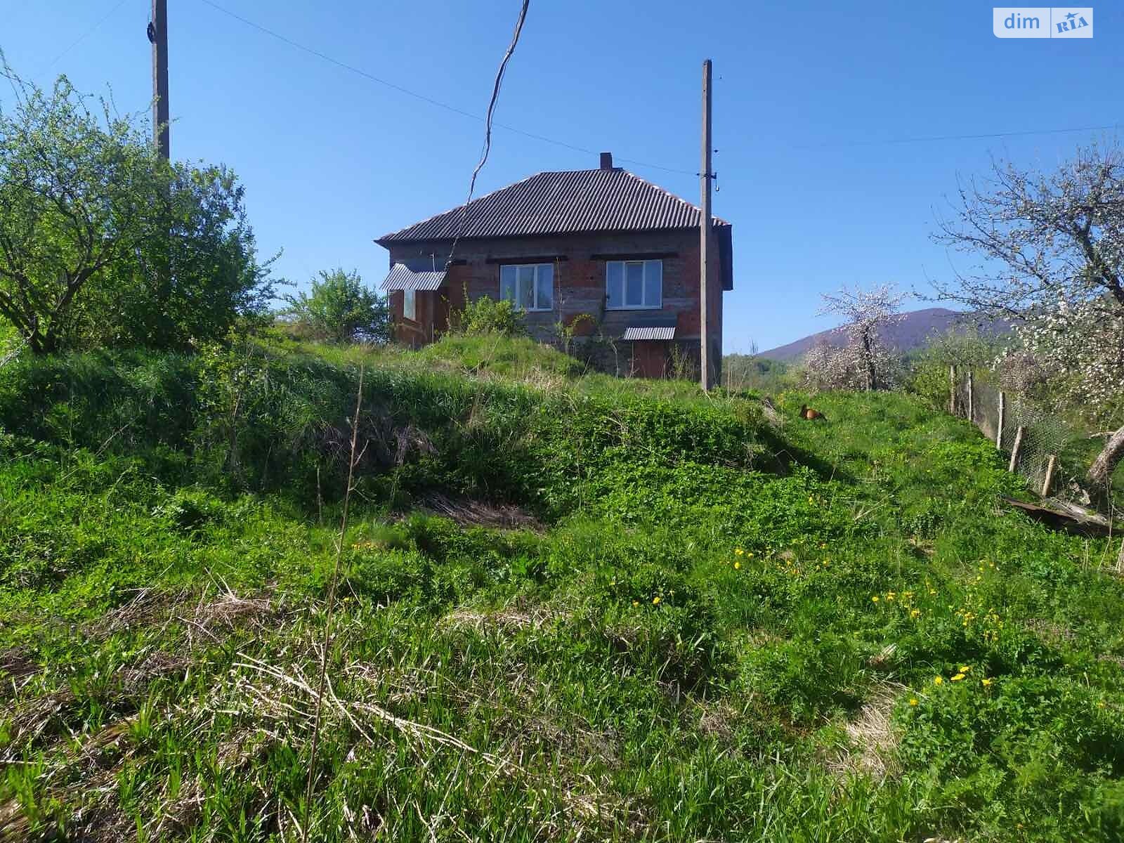 одноповерховий будинок, 150 кв. м, цегла. Продаж у Ставне фото 1