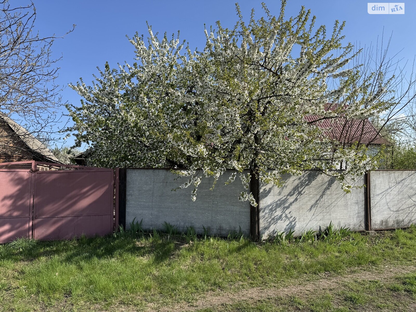 одноповерховий будинок з верандою, 79.6 кв. м, цегла. Продаж у Стайках фото 1 одноповерховий будинок з верандою, 79.6 кв. м, цегла. Продаж у Стайках фото 1