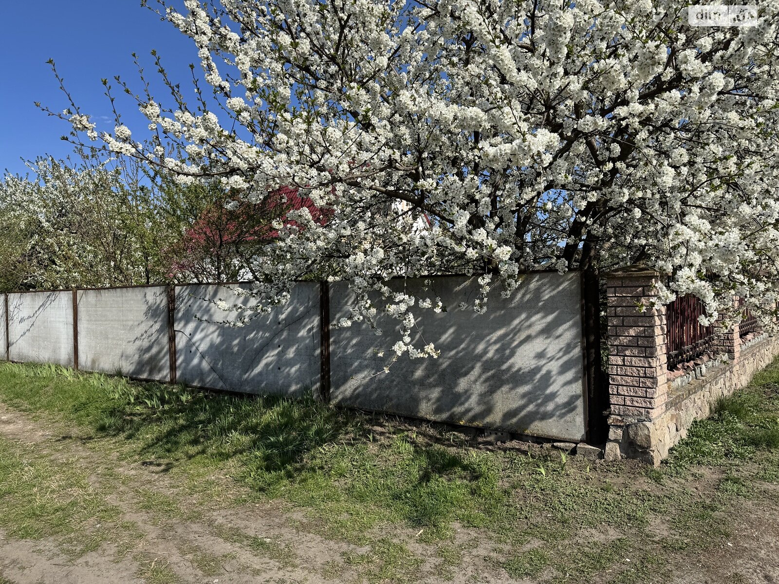 одноповерховий будинок з верандою, 79.6 кв. м, цегла. Продаж у Стайках фото 1 одноповерховий будинок з верандою, 79.6 кв. м, цегла. Продаж у Стайках фото 1