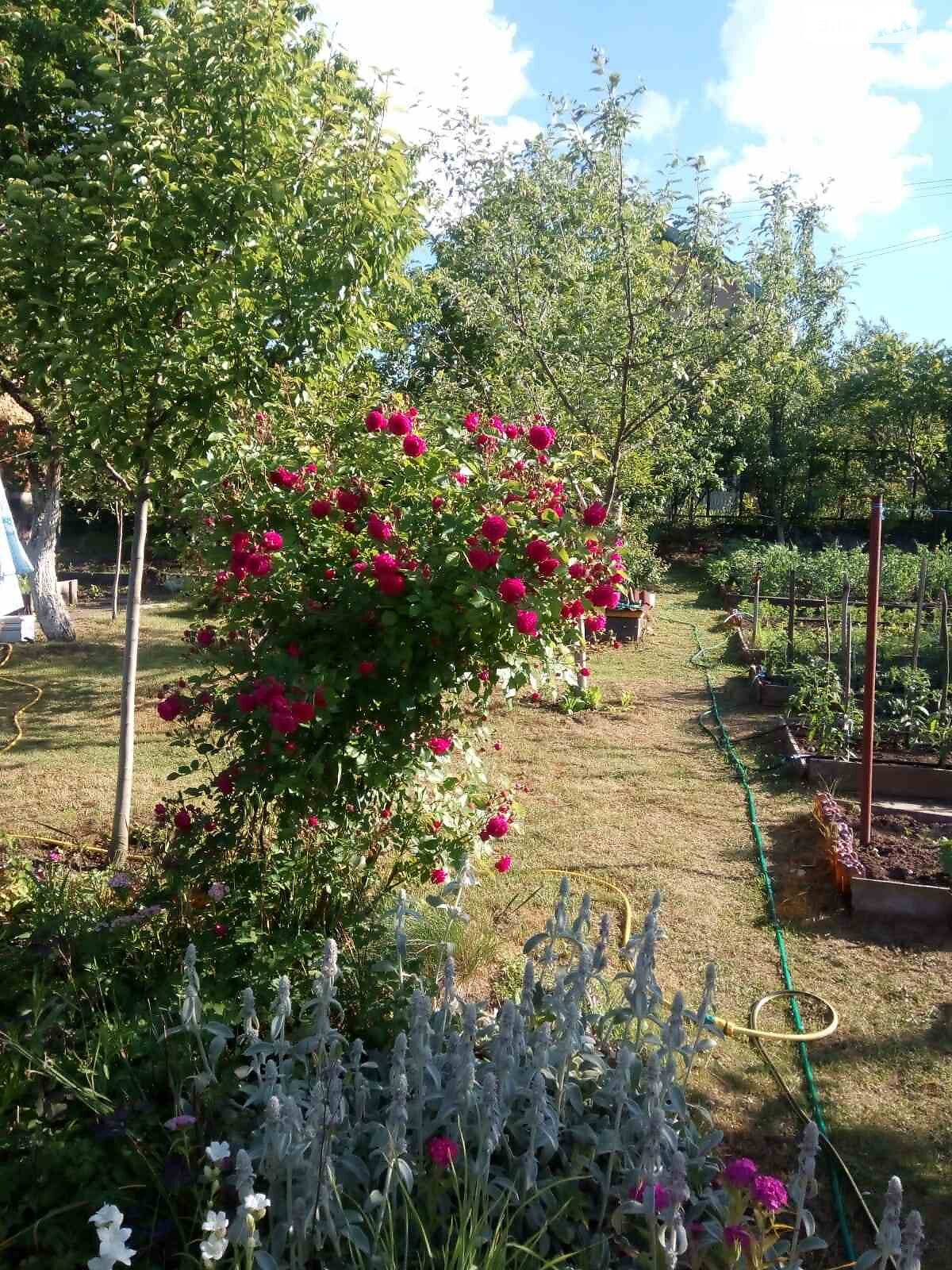 одноэтажный дом, 16.3 кв. м, кирпич. Продажа в Стегниковцах фото 1 одноэтажный дом, 16.3 кв. м, кирпич. Продажа в Стегниковцах фото 1