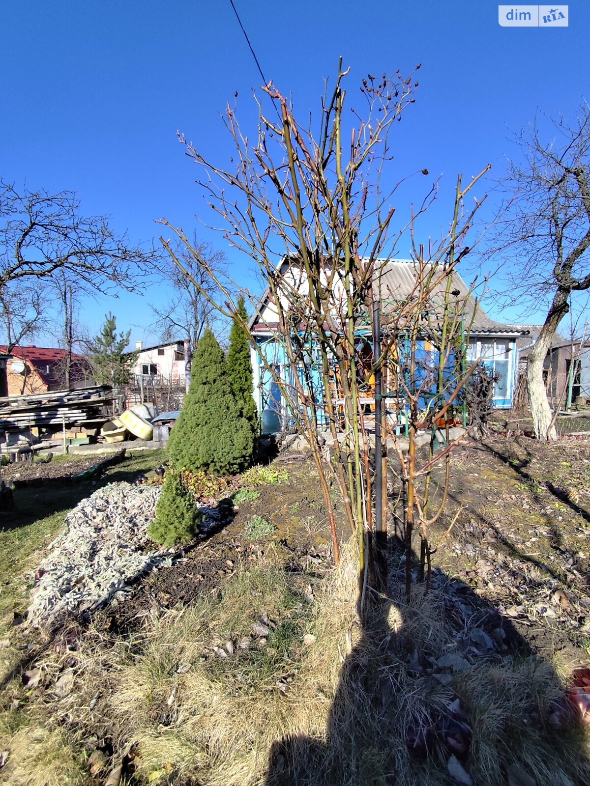 одноэтажный дом, 16.3 кв. м, кирпич. Продажа в Стегниковцах фото 1 одноэтажный дом, 16.3 кв. м, кирпич. Продажа в Стегниковцах фото 1