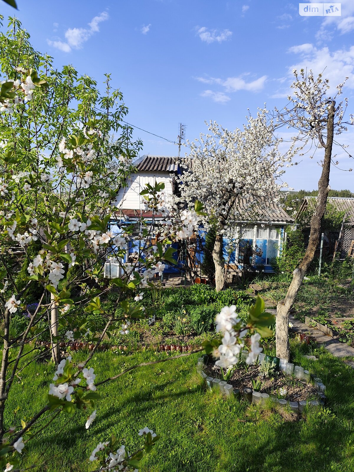 одноэтажный дом, 16.3 кв. м, кирпич. Продажа в Стегниковцах фото 1 одноэтажный дом, 16.3 кв. м, кирпич. Продажа в Стегниковцах фото 1