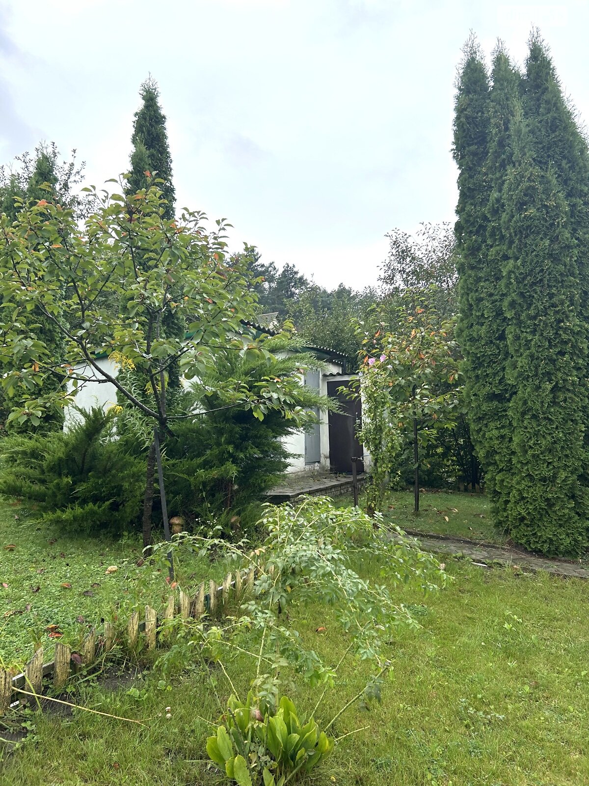 двухэтажный дом, 126.7 кв. м, кирпич. Продажа в Ивашковцах фото 1