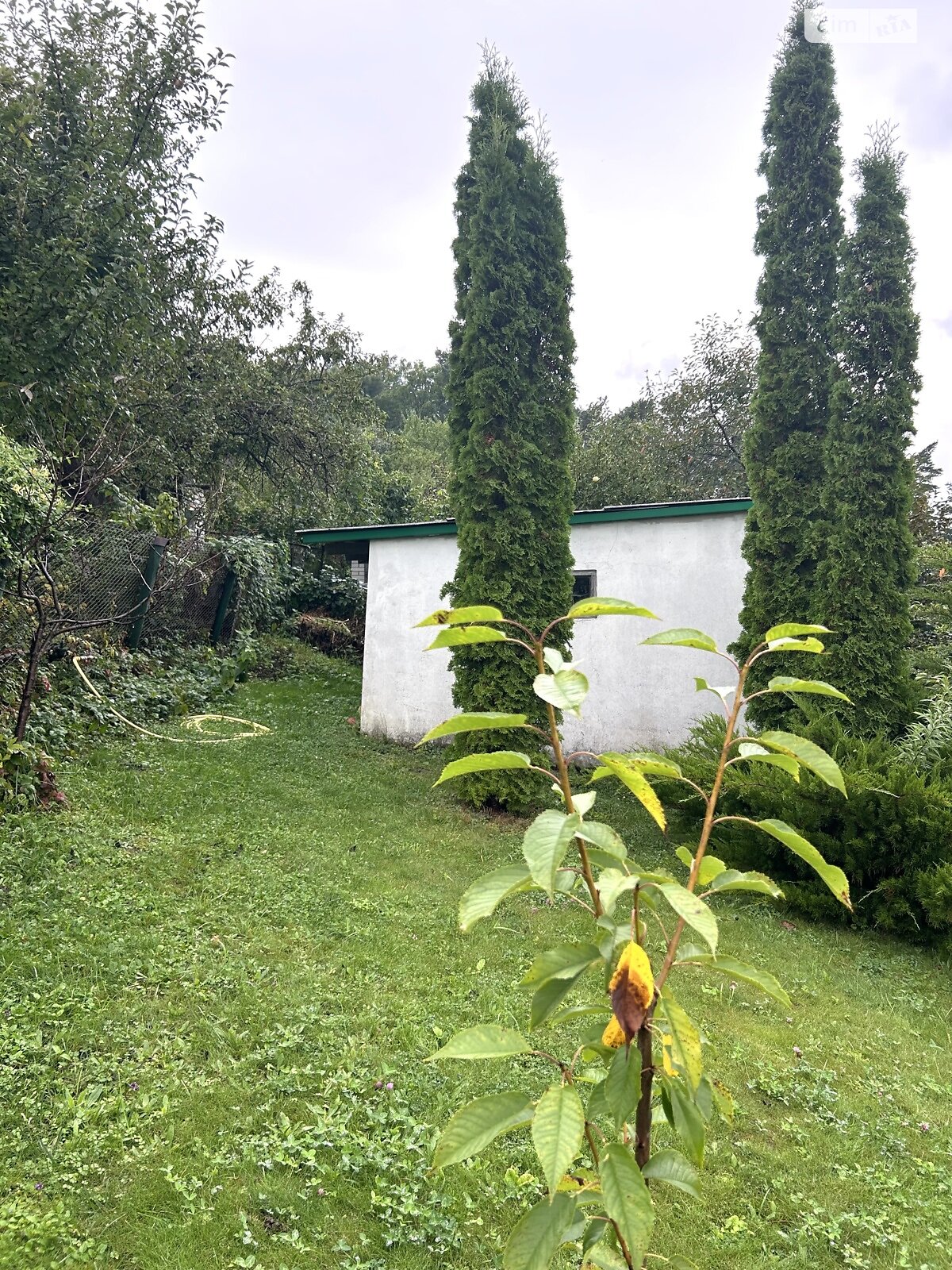 двухэтажный дом, 126.7 кв. м, кирпич. Продажа в Ивашковцах фото 1