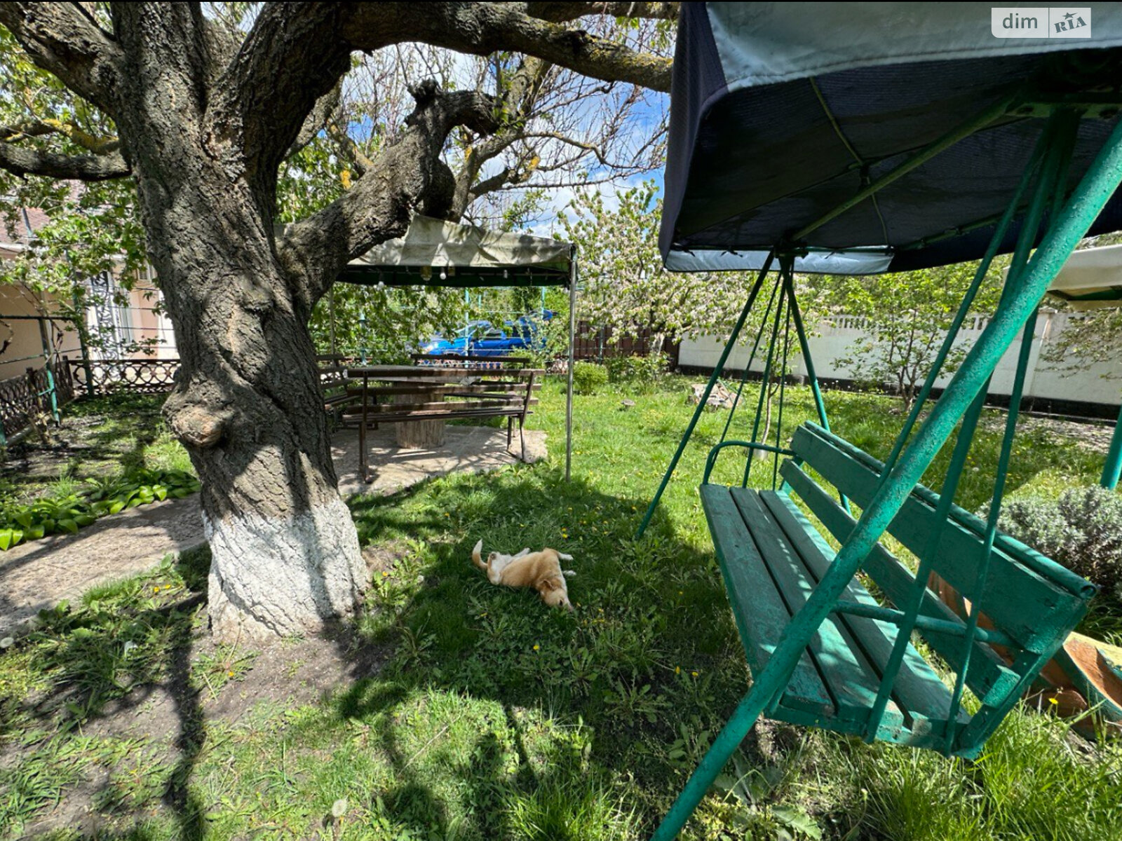 одноэтажный дом с верандой, 223.8 кв. м, кирпич силикатный. Продажа в Степовом фото 1