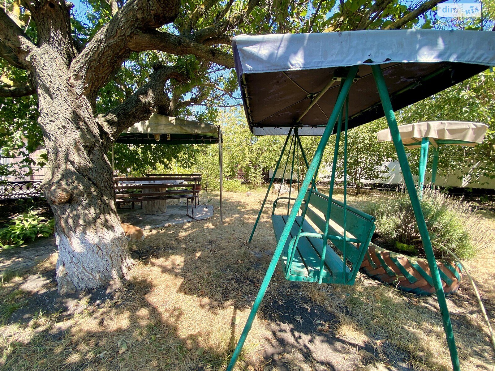 одноповерховий будинок з верандою, 223.8 кв. м, ракушняк. Продаж у Степовому фото 1