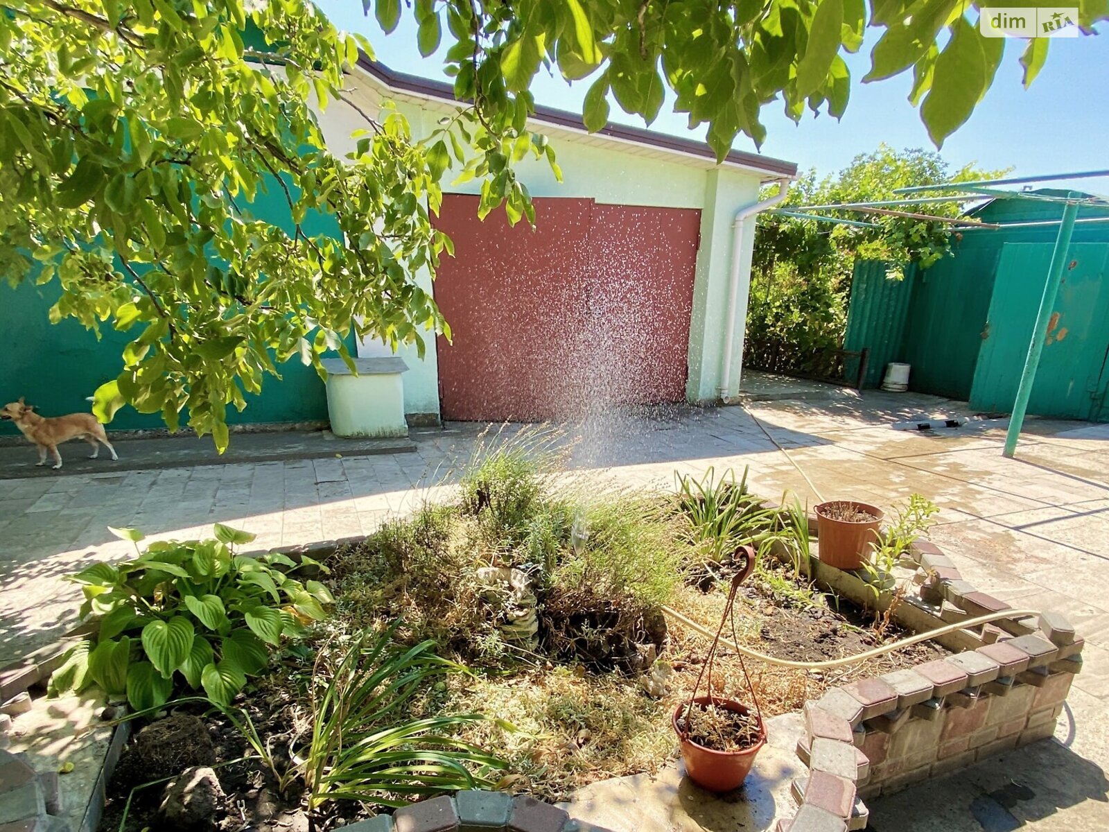 одноповерховий будинок з верандою, 223.8 кв. м, ракушняк. Продаж у Степовому фото 1