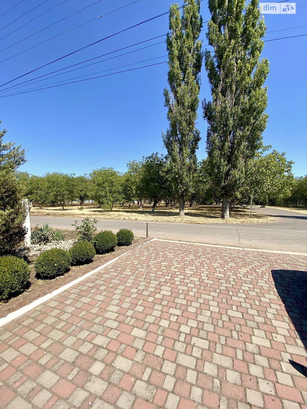 одноповерховий будинок з верандою, 223.8 кв. м, ракушняк. Продаж у Степовому фото 1